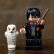Harry Potter (School Robes)